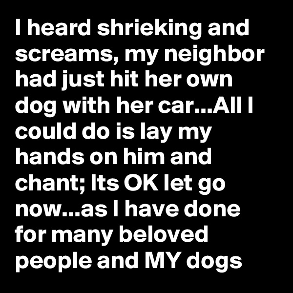 I heard shrieking and screams, my neighbor had just hit her own dog with her car...All I could do is lay my hands on him and chant; Its OK let go now...as I have done for many beloved  people and MY dogs
