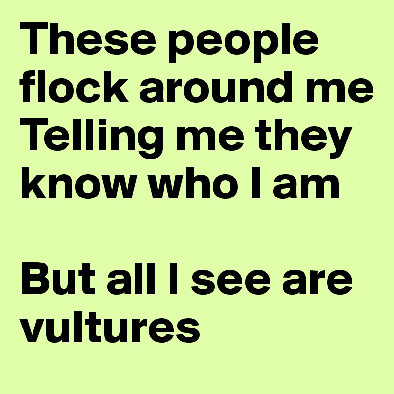 These people flock around me 
Telling me they know who I am

But all I see are vultures