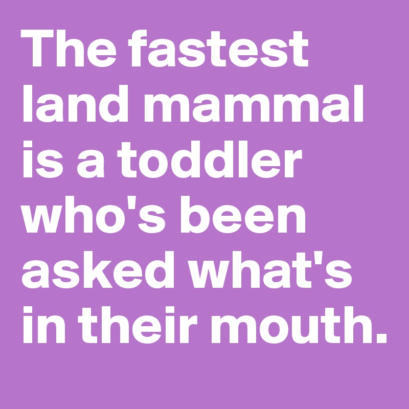 The fastest land mammal is a toddler who's been asked what's in their mouth.