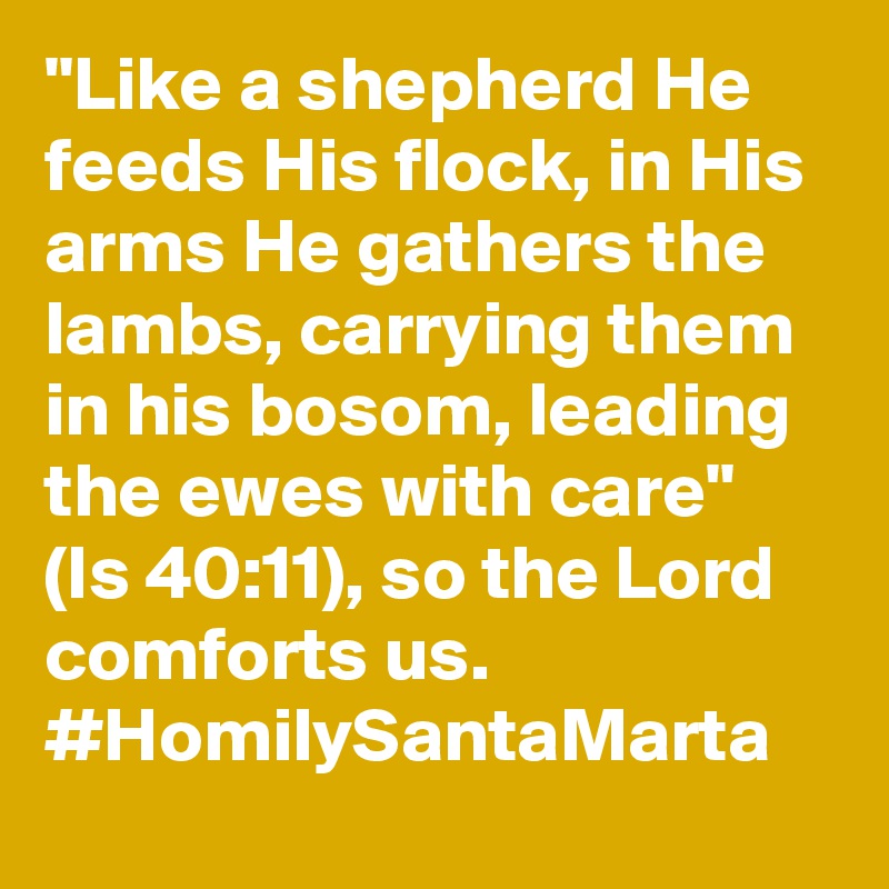 "Like a shepherd He feeds His flock, in His arms He gathers the lambs, carrying them in his bosom, leading the ewes with care" (Is 40:11), so the Lord comforts us. #HomilySantaMarta
