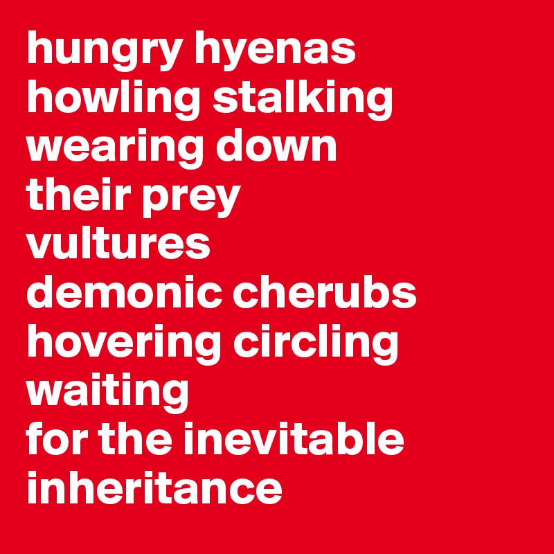 hungry hyenas
howling stalking wearing down
their prey
vultures
demonic cherubs
hovering circling
waiting
for the inevitable
inheritance