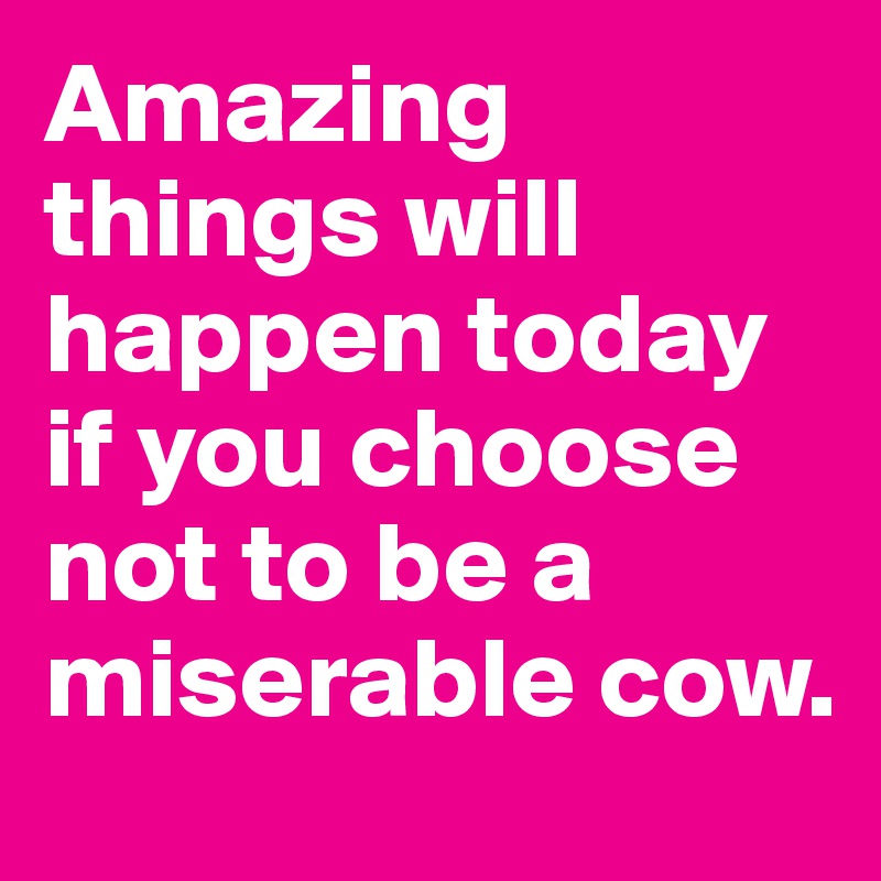 Amazing things will happen today if you choose not to be a miserable cow.