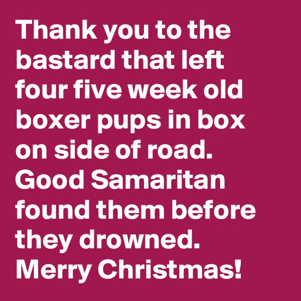 Thank you to the bastard that left four five week old boxer pups in box on side of road. Good Samaritan found them before they drowned.  Merry Christmas!