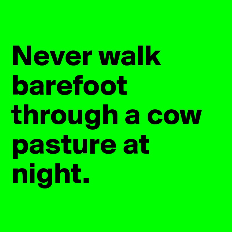 
Never walk barefoot through a cow pasture at night. 

