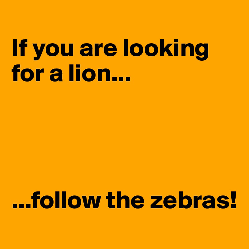 
If you are looking for a lion...




...follow the zebras!