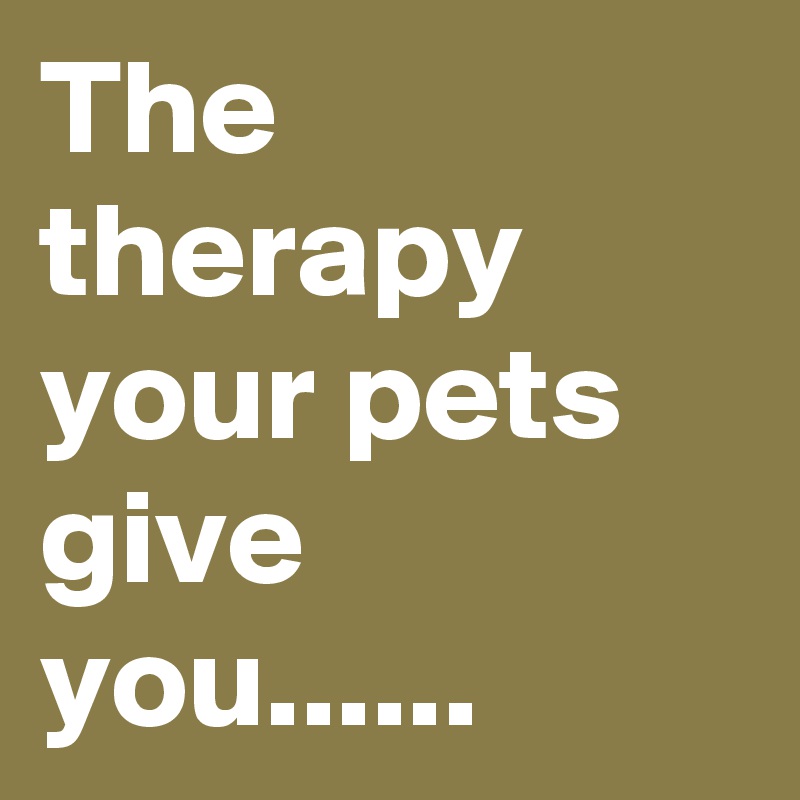 The therapy your pets give you...... 