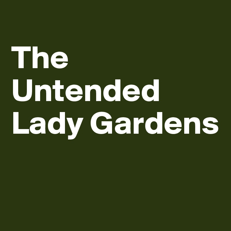 
The Untended Lady Gardens


