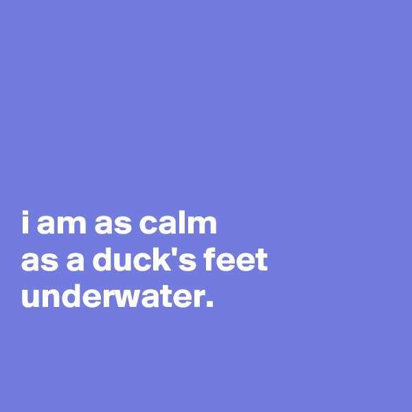 




i am as calm
as a duck's feet underwater.

