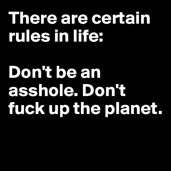There are certain rules in life:

Don't be an asshole. Don't fuck up the planet. 

