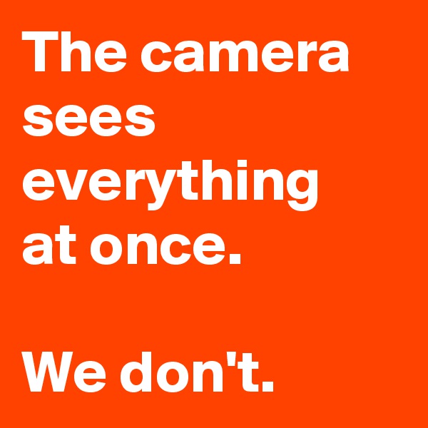 The camera sees everything 
at once.

We don't.