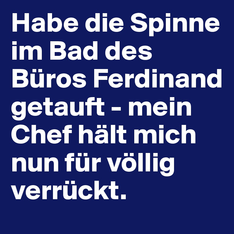 Habe die Spinne im Bad des Büros Ferdinand getauft - mein Chef hält mich nun für völlig verrückt.