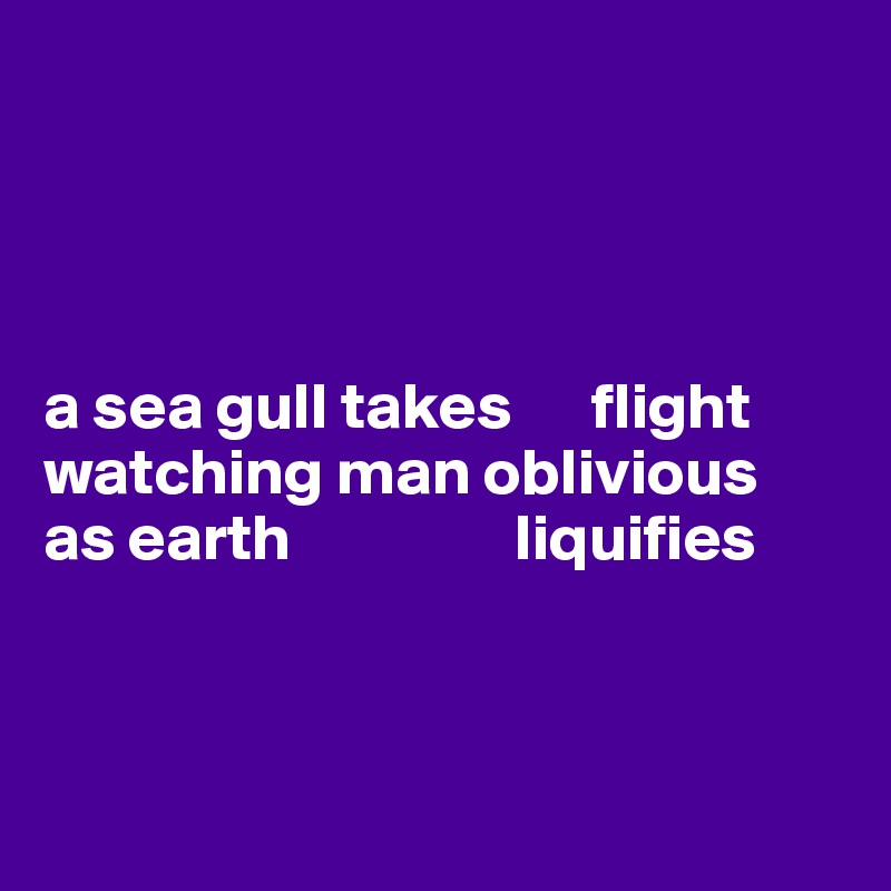 




a sea gull takes      flight 
watching man oblivious 
as earth                 liquifies



