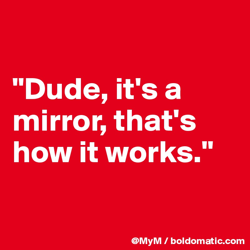 

"Dude, it's a mirror, that's how it works."

