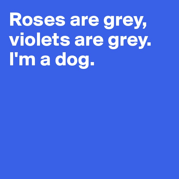 Roses are grey,
violets are grey. 
I'm a dog. 




