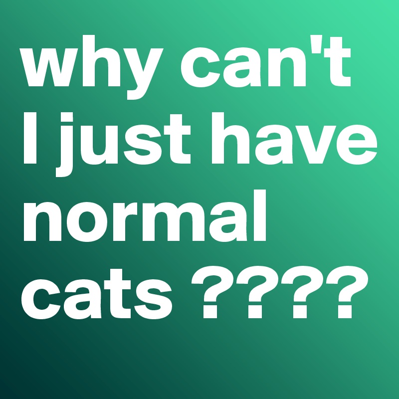 why can't I just have normal cats ????