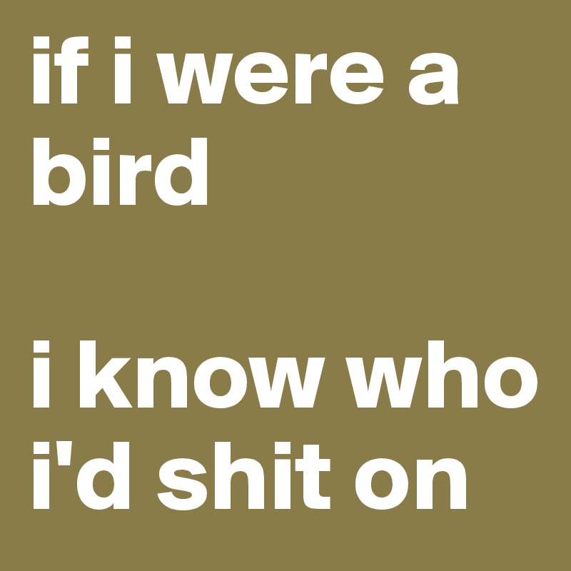 if i were a bird

i know who i'd shit on