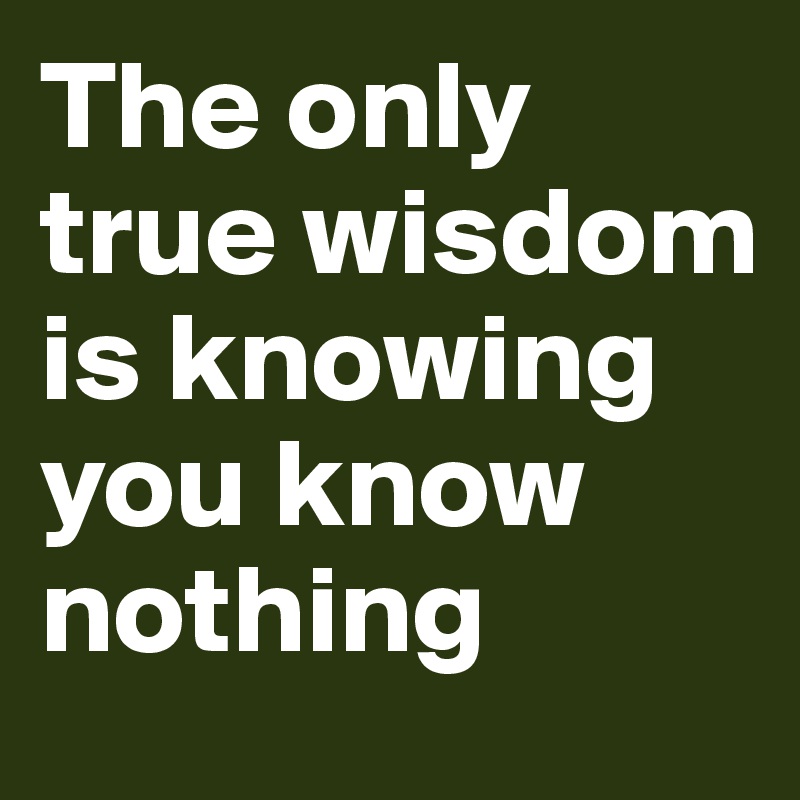 The only true wisdom is knowing you know nothing