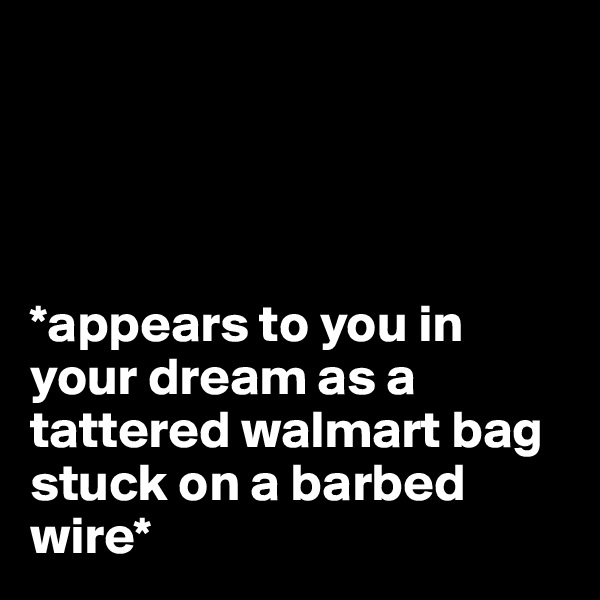  




*appears to you in your dream as a tattered walmart bag stuck on a barbed wire*