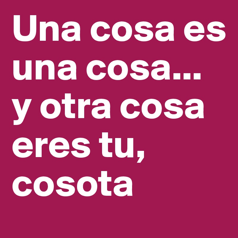 Una cosa es una cosa... y otra cosa eres tu, cosota