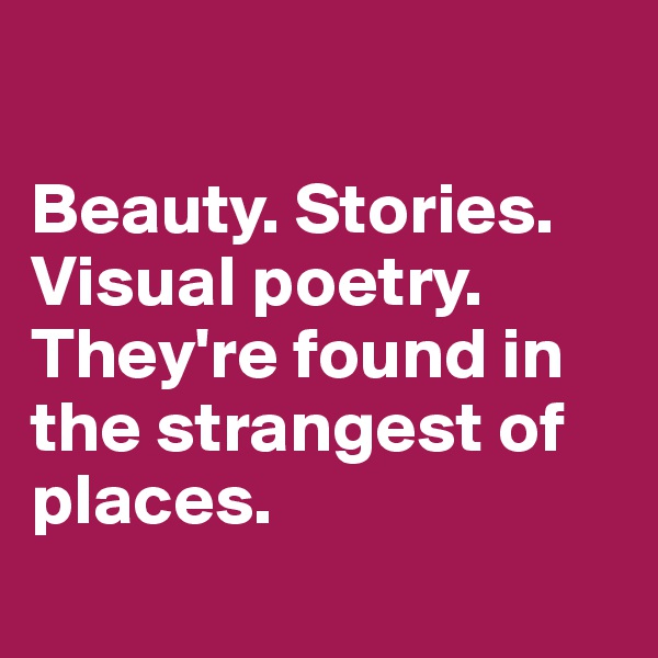 

Beauty. Stories. Visual poetry. 
They're found in the strangest of places.

