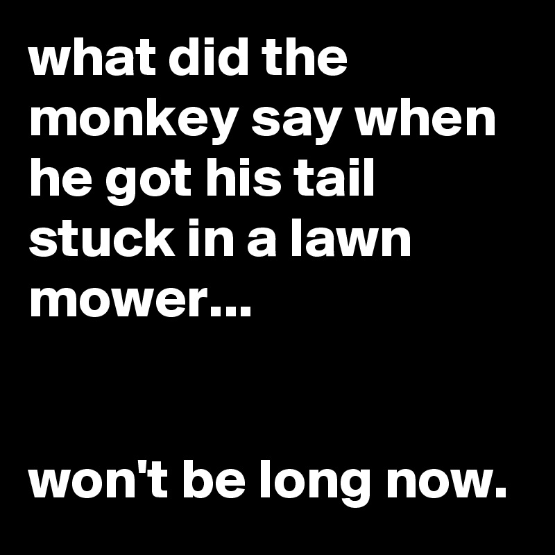 what did the monkey say when he got his tail stuck in a lawn mower...


won't be long now.