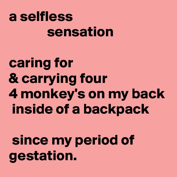 a selfless 
             sensation

caring for 
& carrying four
4 monkey's on my back
 inside of a backpack

 since my period of gestation.