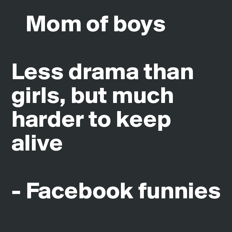    Mom of boys

Less drama than girls, but much harder to keep alive

- Facebook funnies 