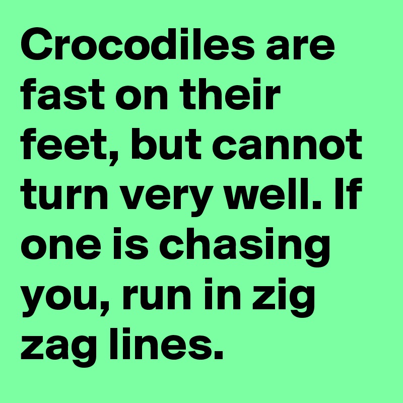 Crocodiles are fast on their feet, but cannot turn very well. If one is chasing you, run in zig zag lines.