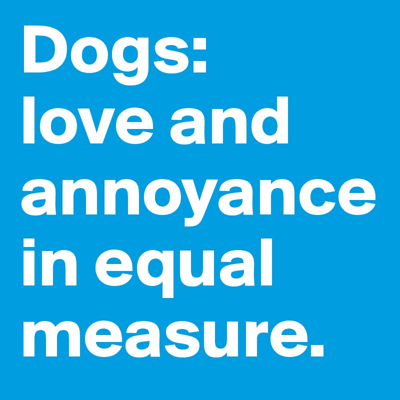 Dogs: 
love and annoyance in equal measure. 