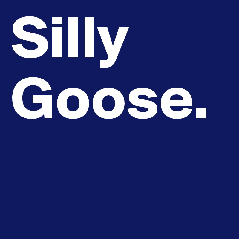 Silly Goose. 
