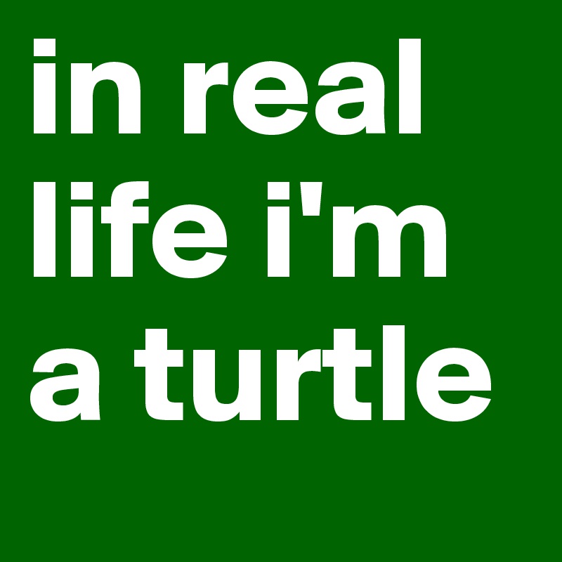 in real life i'm a turtle