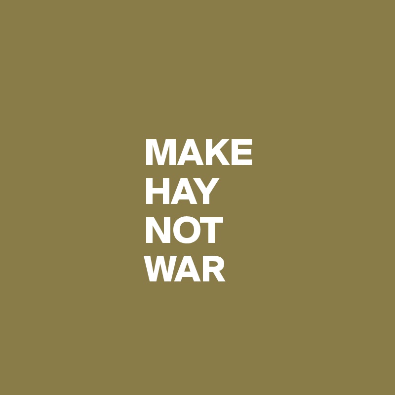 

               
                MAKE 
                HAY 
                NOT 
                WAR

