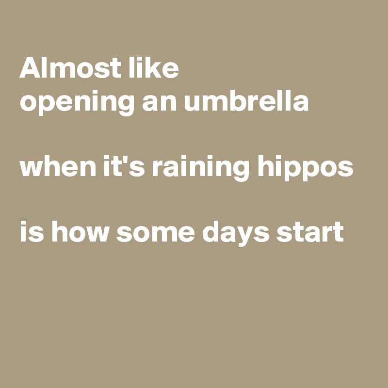 
Almost like 
opening an umbrella

when it's raining hippos

is how some days start



