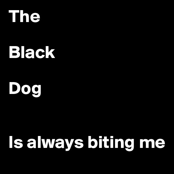 The 

Black

Dog


Is always biting me