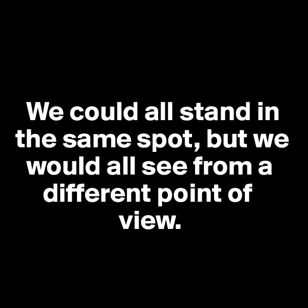 


  We could all stand in the same spot, but we       
  would all see from a   
     different point of    
                   view. 

