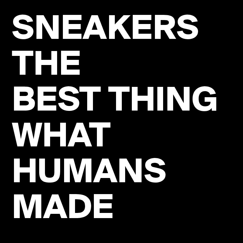 SNEAKERS THE          BEST THING WHAT HUMANS MADE