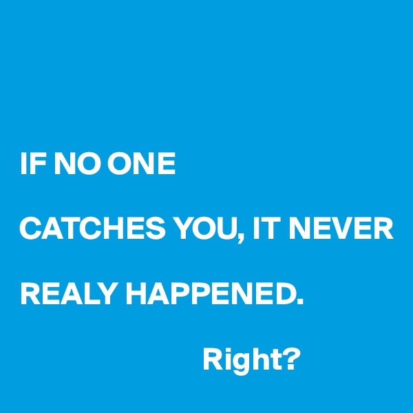 



IF NO ONE

CATCHES YOU, IT NEVER

REALY HAPPENED.

                            Right?