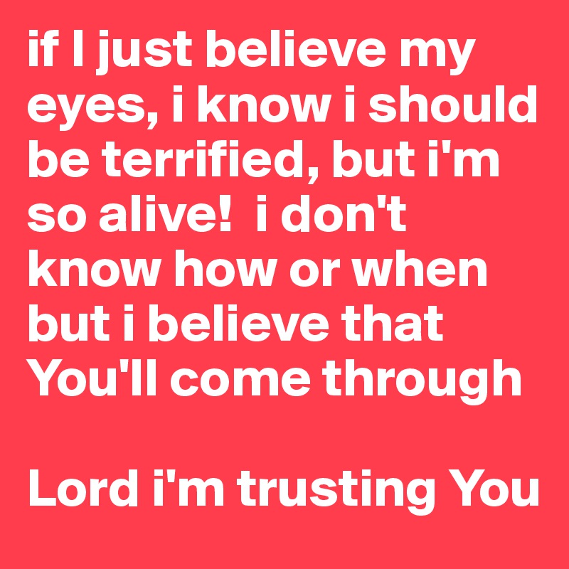 if I just believe my eyes, i know i should be terrified, but i'm so alive!  i don't know how or when
but i believe that You'll come through 
                                      Lord i'm trusting You