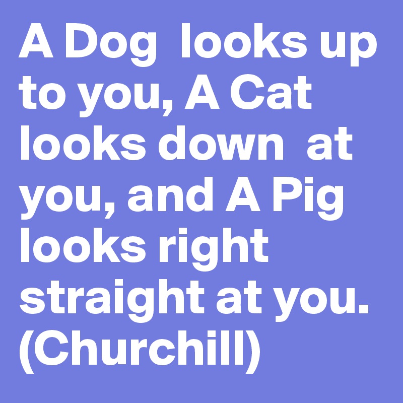 A Dog  looks up to you, A Cat  looks down  at you, and A Pig looks right straight at you.  (Churchill) 