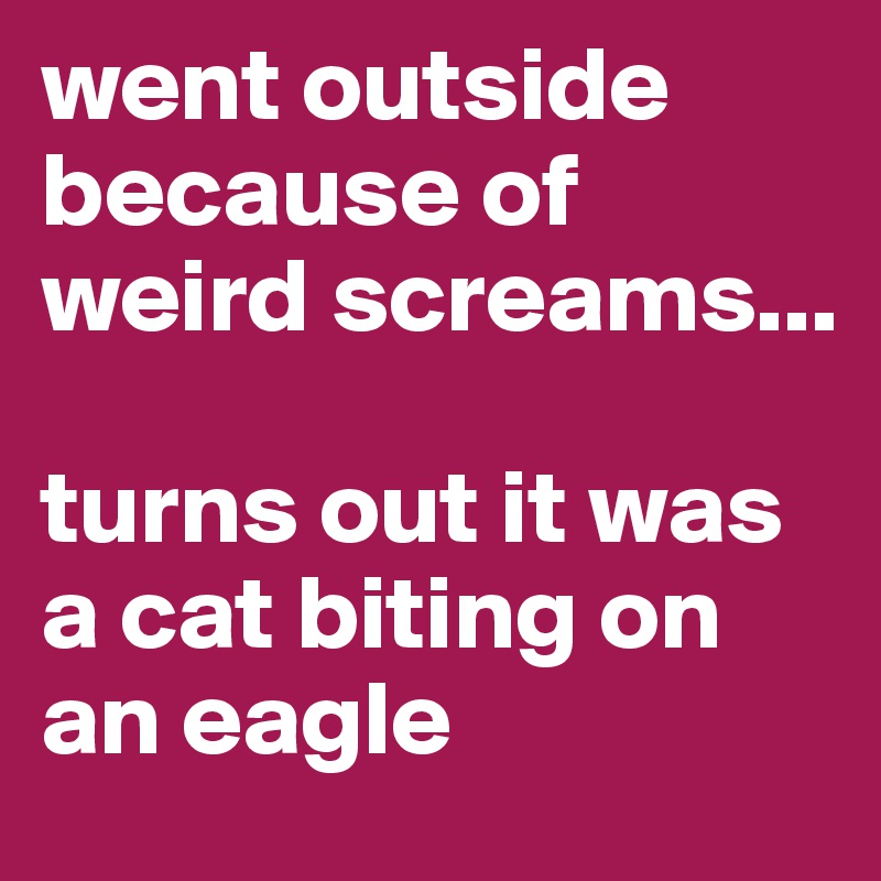 went outside because of weird screams...

turns out it was a cat biting on an eagle