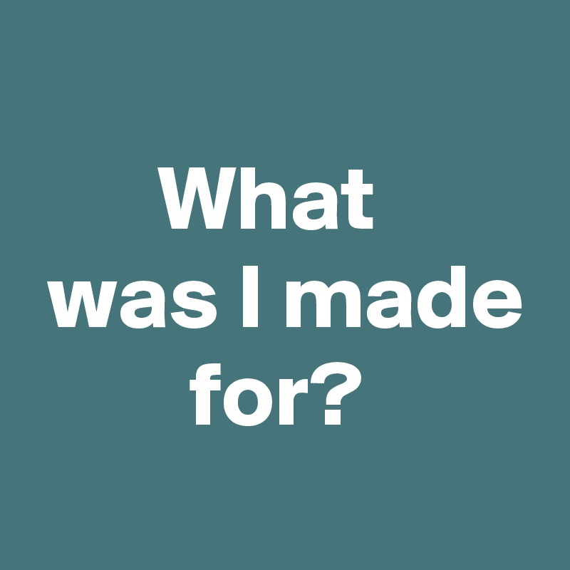 
What 
 was I made
for?
