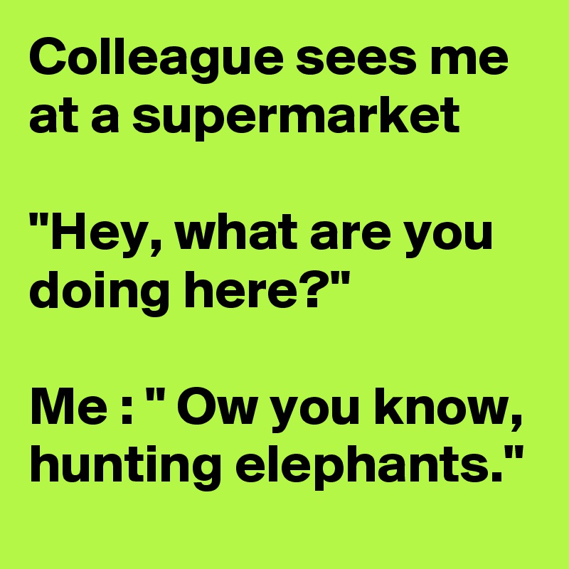 Colleague sees me at a supermarket

"Hey, what are you doing here?"

Me : " Ow you know, hunting elephants."