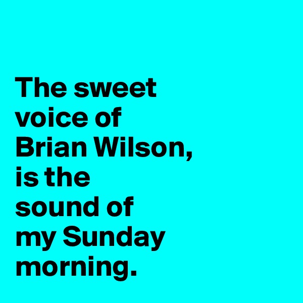 

The sweet 
voice of 
Brian Wilson, 
is the 
sound of
my Sunday
morning.