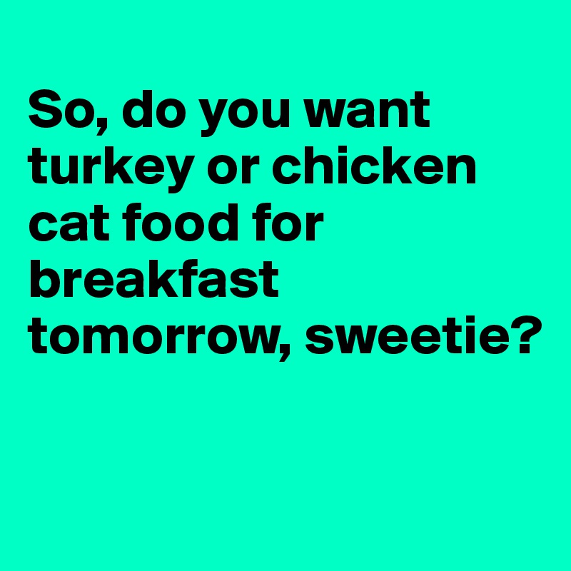 
So, do you want turkey or chicken cat food for breakfast tomorrow, sweetie?

