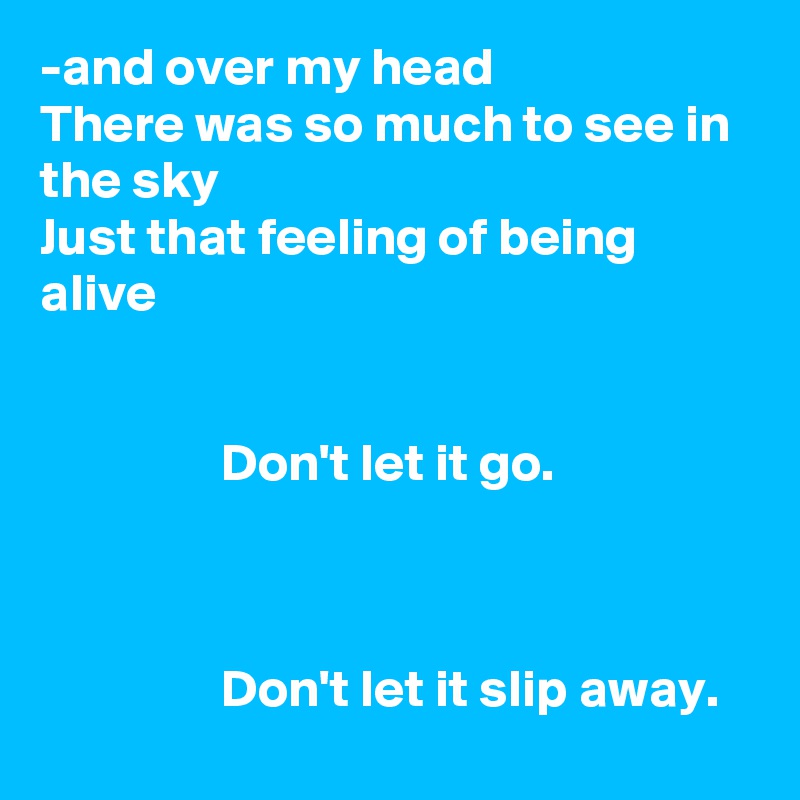 -and over my head
There was so much to see in the sky
Just that feeling of being alive


                 Don't let it go.     
                                                                                                                                               
                 Don't let it slip away.