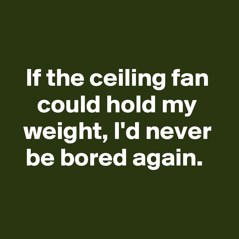 If the ceiling fan could hold my weight, I'd never be bored again ...