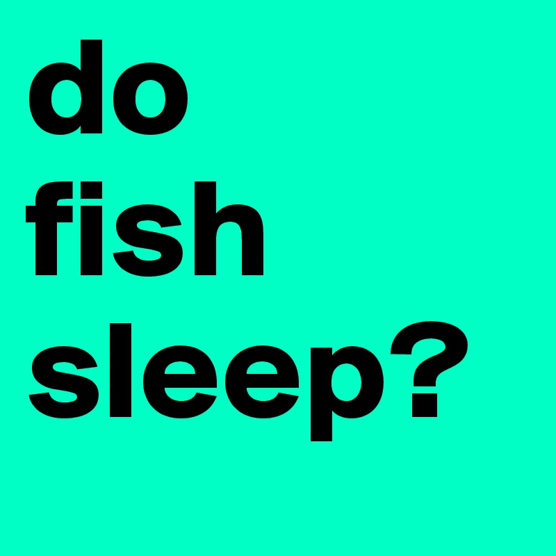 do
fish
sleep? 