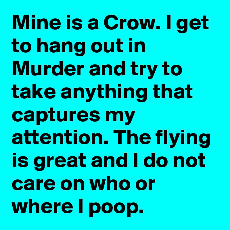 Mine is a Crow. I get to hang out in Murder and try to take anything that captures my attention. The flying is great and I do not care on who or where I poop.