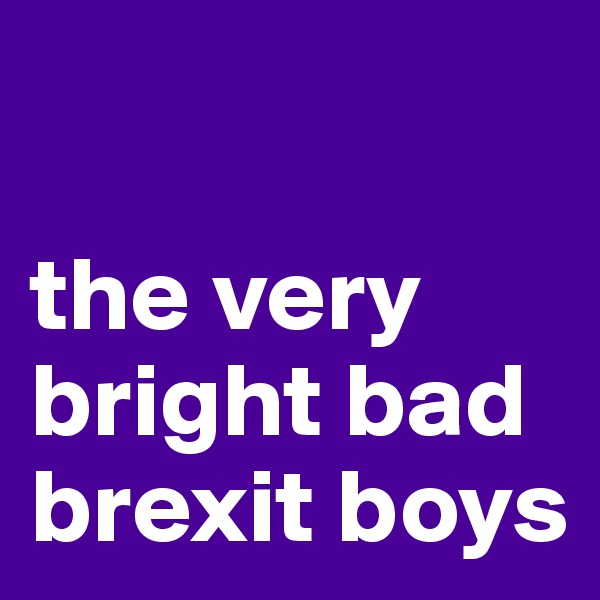 

the very bright bad brexit boys