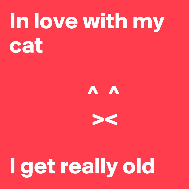 In love with my cat 

                 ^  ^ 
                  ><

I get really old